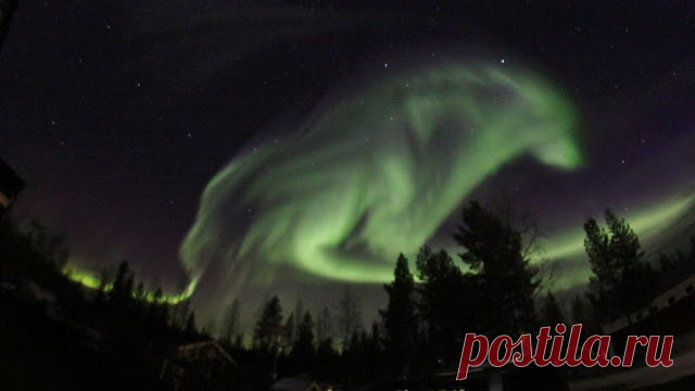 White Wolf : Lucky Photographers Capture Wolf Like Images In The Sky