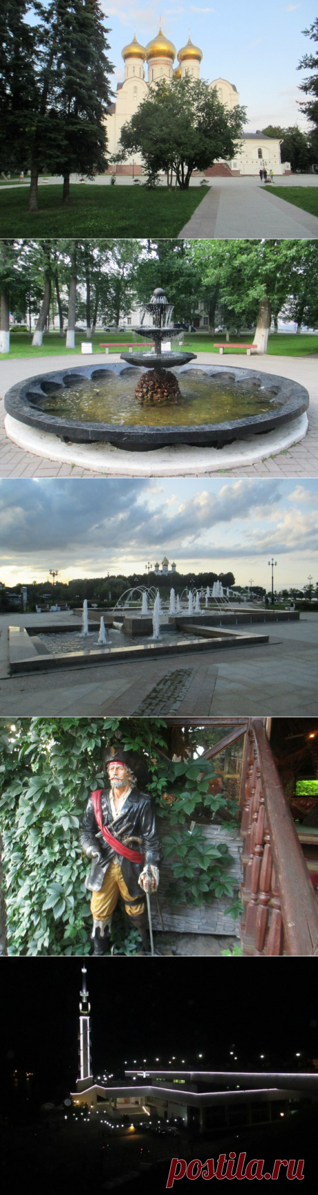 Светлана Болотова