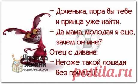 Позитивные фразочки в прикольных картинках