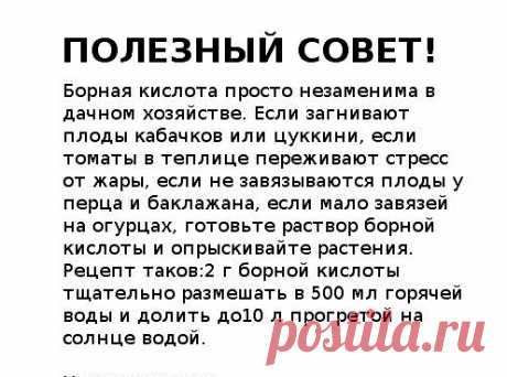 Советы огородников для увеличения урожая — 6 соток