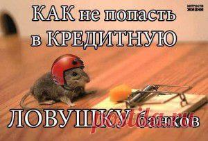 Россия развертывает группировку новейших ядерных субмарин в Арктике. | Cream