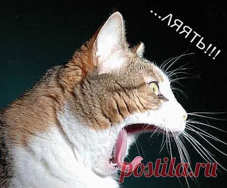 лять