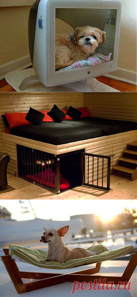 Необычные лежанки и домики для собак в интерьере | СДЕЛАЙ САМ!