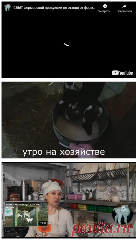 Сбыт фермерской продукции не отходя от фермы. &amp;#8212; Усадьба Белая Коза