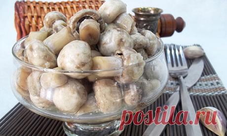 Маринованные шампиньоны в домашних условиях: кулинарный рецепт