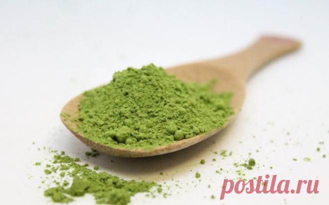 Джимнема: гимнема сильвестра, gymnema sylvestre в России, применение экстракта