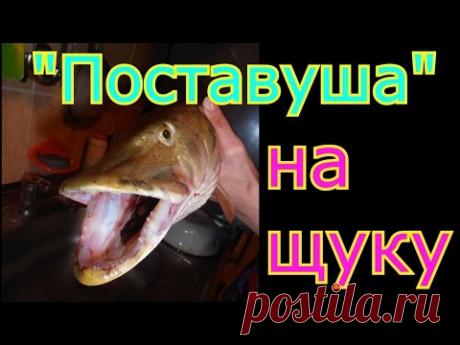 Как сделать и забросить снасть "Поставуша" для ловли щуки и окуня.My fishing.