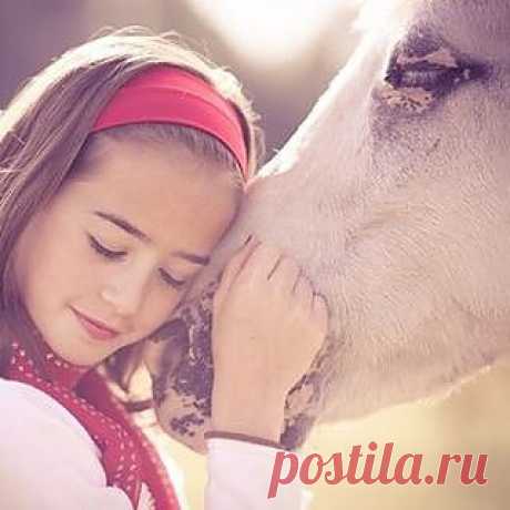 Facebook/&quot;Я всегда чувствую себя счастливым. Ты знаешь, почему? Потому что я ничего ни от кого не жду. Ожидания всегда боль. Жизнь коротка. Так что люби свою жизнь. Будь счастлив. И улыбайся. Перед тем, как говорить, слушай. Прежде чем писать, думай. Перед тем, как тратить деньги, заработай. Перед тем, как молиться, прощай. Перед тем, как делать больно, почувствуй. Перед тем, как ненавидеть, люби. Перед тем, как умереть, живи!&quot; - Уильям Шекспир