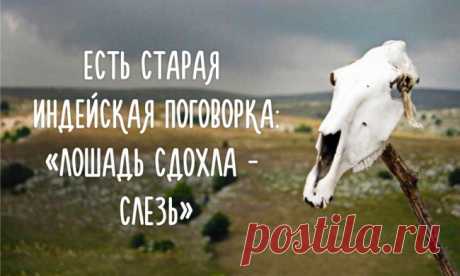Не оживляйте дохлую лошадь! 

Притча про дохлую лошадь - не стандартная притча, а очень остроумная и отрезвляющая подборка насчет "дохлых лощадей" - того, что уже стало в тягость. Мне понравилась не столько смыслом (по сути - пр…