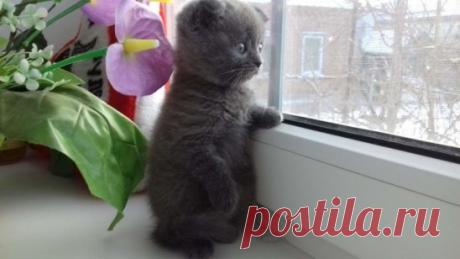 Маленькая Жданка!