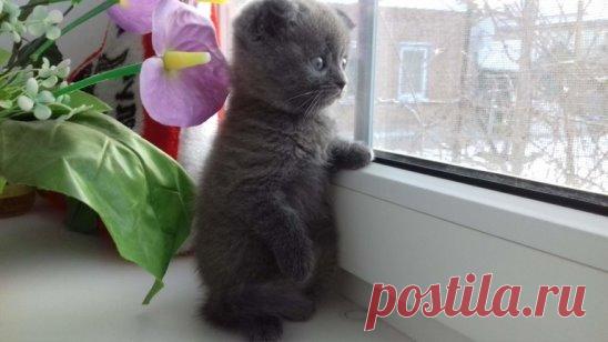 Маленькая Жданка!