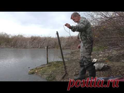 Рыбалка бреднем, граблями. Браконьерство? Рыбалка осенью.fishing video.