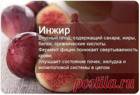 Старинное средство на основе инжира за 40 дней обновляет работу всего организма: пошаговый рецепт