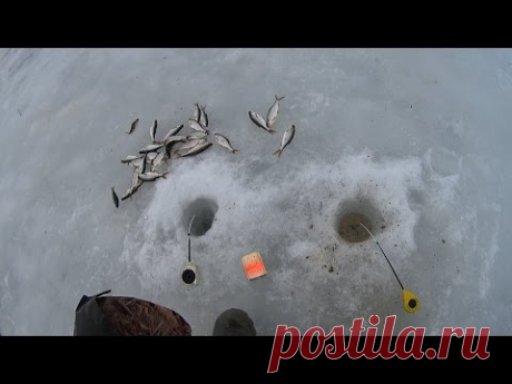 Ловля пассивной плотвы на необычную зимнюю снасть!