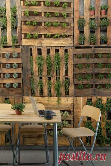 30 Vertical Wall Planter Pots Ideas