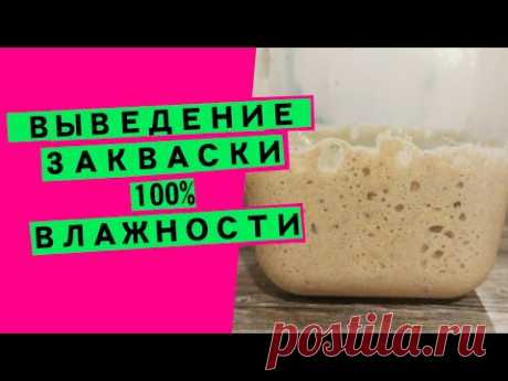Как вывести пшеничную закваску для хлеба: пошаговое видео [универсальная закваска 100% влажности]