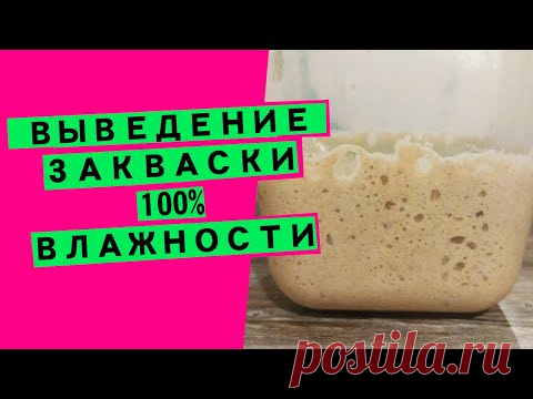 Как вывести пшеничную закваску для хлеба: пошаговое видео [универсальная закваска 100% влажности]