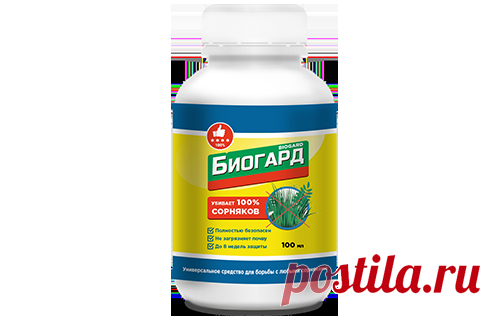 Мир здоровья
