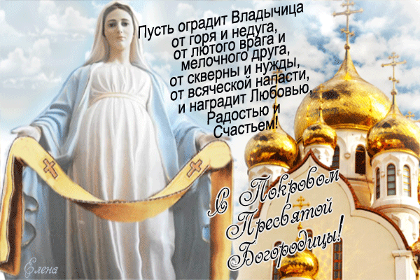 Самые популярные открытки за текущий день