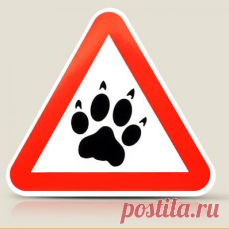 Дизайн (креатив) печатной продукции для Магазина подарков Бюро находок.