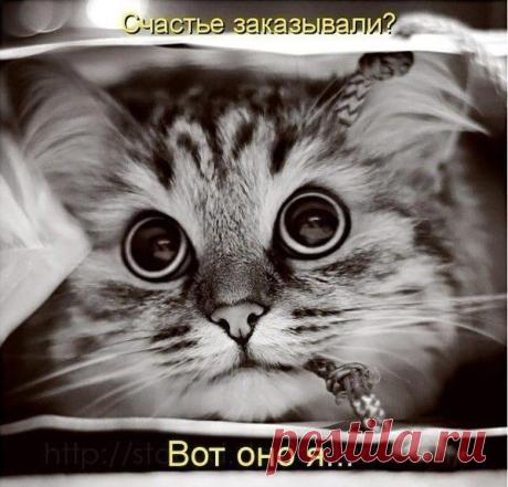 Счастье...(часть 2)