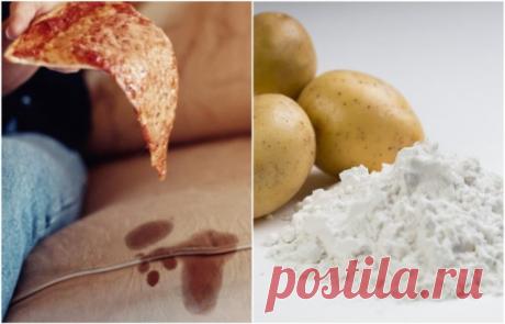 Как очистить диван от пятен еды и напитков: 6 действенных способов  Раньше было популярно застилать диваны всевозможными пледами и покрывалами, чтобы защитить обивку от крошек, пятен, шерсти животных. Сейчас это считается моветоном, а потому мебель стала...