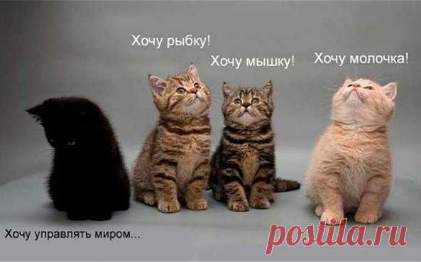 Как правильно мечтать — Болтай