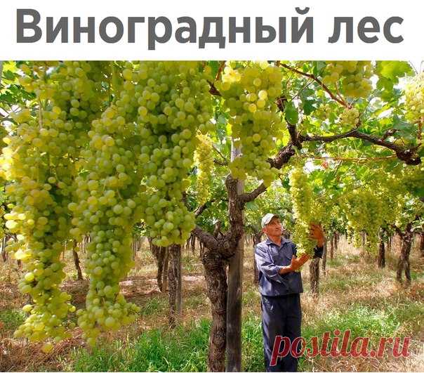 Знаете ли Вы?