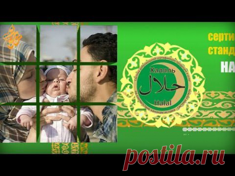 Халяль-инфо. выпуск 1: Зачем нужен халяль сертификат?