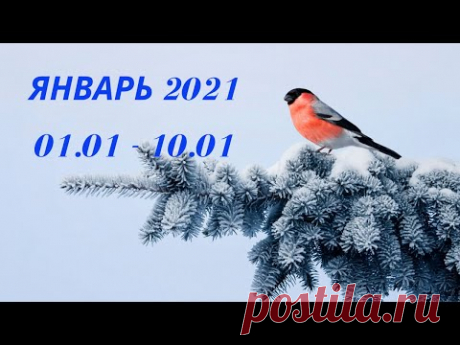 Таро прогноз на январь 2021 года (период с 01.01.21 по 10.01.21) Расклад на колоде  Оракул Симболон