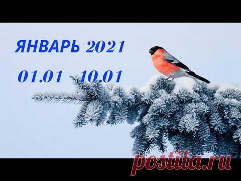 Таро прогноз на январь 2021 года (период с 01.01.21 по 10.01.21) Расклад на колоде  Оракул Симболон