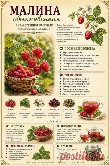 Малина обыкновенная