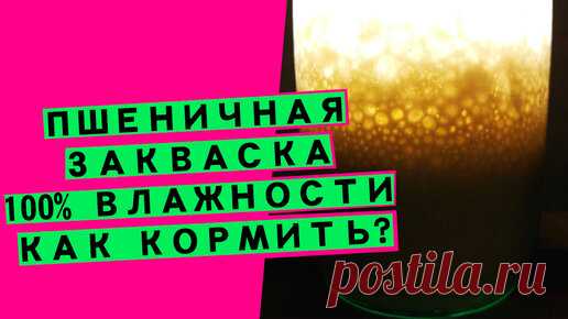 Как кормить закваску: пшеничная 100% влажности [НАЧИНАЮЩИМ ПЕКАРЯМ!]