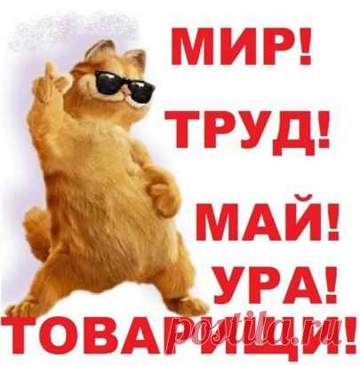 Плейкаст «В ПЕРВЫЙ ДЕНЬ ШАЛЬНОГО МАЯ МЫ УДАЧИ ВАМ ЖЕЛАЕМ!ОТДЫХАТЬ И ВЕСЕЛИТЬСЯ И ВСЕГО ДОБИТЬСЯ!!!»  http://www.playcast.ru/view/8045144/521940a1f29ce8d77eb8cd084dd1d5efda4af007pl
СОХРАНИТЬУстановить себе