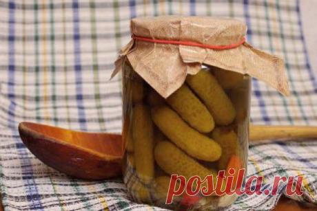 Огурцы: Солим, маринуем, квасим - Кулинарные советы для любителей готовить вкусно - Хозяйке на заметку - Кулинария - IVONA - bigmir)net - IVONA
