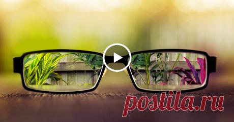 Мне 60 лет, и это средство вернуло мне зрение, удалило жир из печени и полностью очистило мой организм! - Страница 2 из 2 Свекла — овощ, который рекомендуется употреблять в основном в сыром виде. Хотя его вкус не привлекателен для большинства людей, свекла обладает целебными свойствами и предлагает широкий спектр преимуществ для здоровья. Например, он обладает способностью улучшать зрение, удалять жир из печени и предотвращать непроходимость кишечника. Свекла содержит трип...