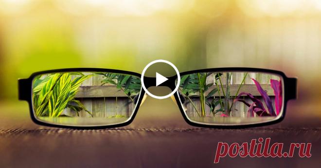 Мне 60 лет, и это средство вернуло мне зрение, удалило жир из печени и полностью очистило мой организм! - Страница 2 из 2 Свекла — овощ, который рекомендуется употреблять в основном в сыром виде. Хотя его вкус не привлекателен для большинства людей, свекла обладает целебными свойствами и предлагает широкий спектр преимуществ для здоровья. Например, он обладает способностью улучшать зрение, удалять жир из печени и предотвращать непроходимость кишечника. Свекла содержит трип...