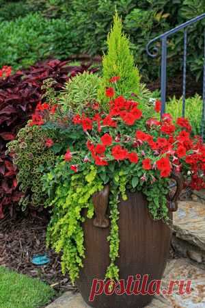 Контейнерные сады