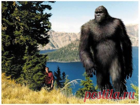 Sasquatch Art
(Изображение JPEG, 543 × 407 пикселов)