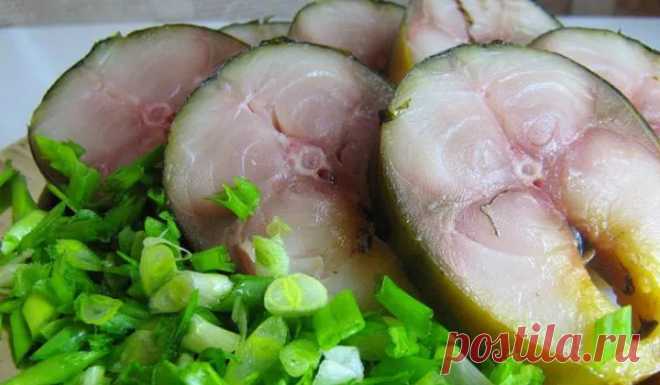 Очень вкусная соленая скумбрия. Как быстро и вкусно засолить скумбрию в домашних условиях