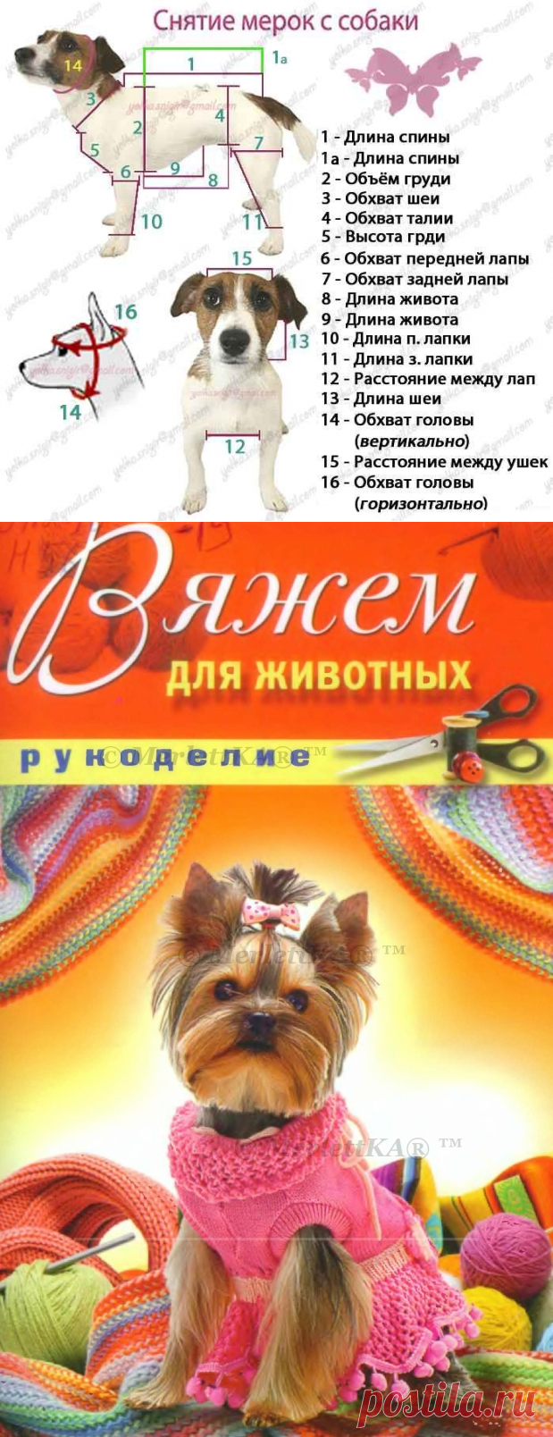 ПУЛОВЕР ДЛЯ СОБАЧКИ ☼ ВЯЖЕМ СПИЦАМИ + ИНСТРУКЦИИ ПО ОБМЕРУ ЖИВОТНЫХ