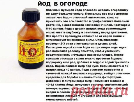 Интересные новости