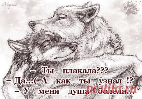 ВЕРНОСТЬ и ЧЕСТНОСТЬ присущи только немногим ...достойным людям! Это слишком дорогой подарок, которого от дешёвых людей ждать не стоит!!!..