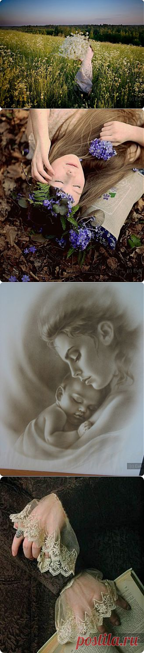 © Стихи / Поиск по тегам / EvA