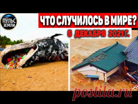 Катаклизмы за день 5 ДЕКАБРЯ 2021! Пульс Земли! в мире событие дня #flooding​ #ураган​ #наводнение - YouTube