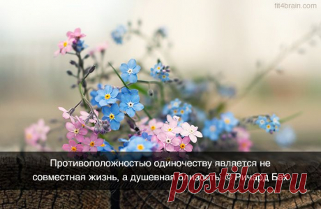 Одной фразой – Фитнес для мозга