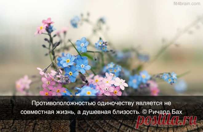 Одной фразой – Фитнес для мозга