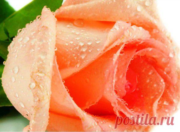 Очаровательна.