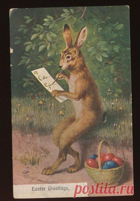 Easter Greetings ~Bunny Rabbit~ Writes Letter Eggs Antique 1907 Postcard -kkk459