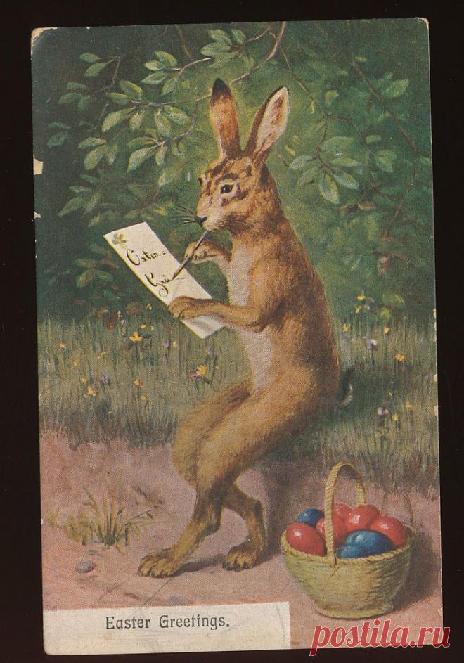 Easter Greetings ~Bunny Rabbit~ Writes Letter Eggs Antique 1907 Postcard -kkk459